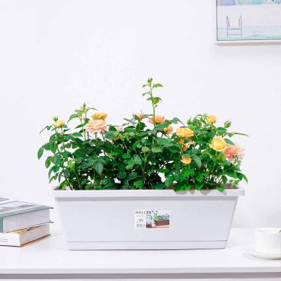 Durable color rectangular plastic flowerpot (5)