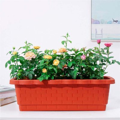 New style rectangular plastic flowerpot (5)