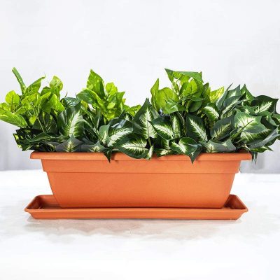 Rectangular plastic flowerpot on balcony (2)