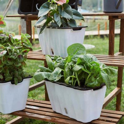 The most popular rectangular plastic flowerpot (5)