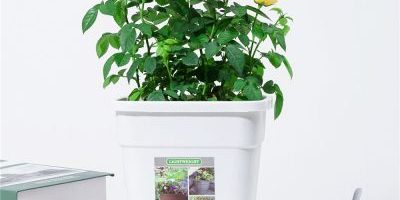 White boutique small plastic flowerpot (4)